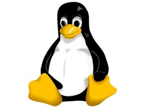 什么是最适合初学者的Linux发行版？